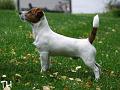 0809014 Arska3